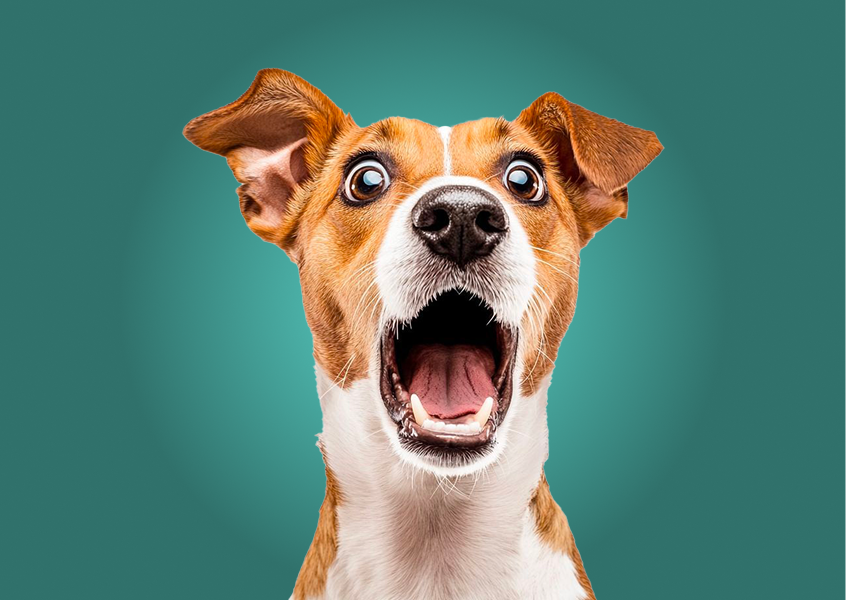 Rectangle background